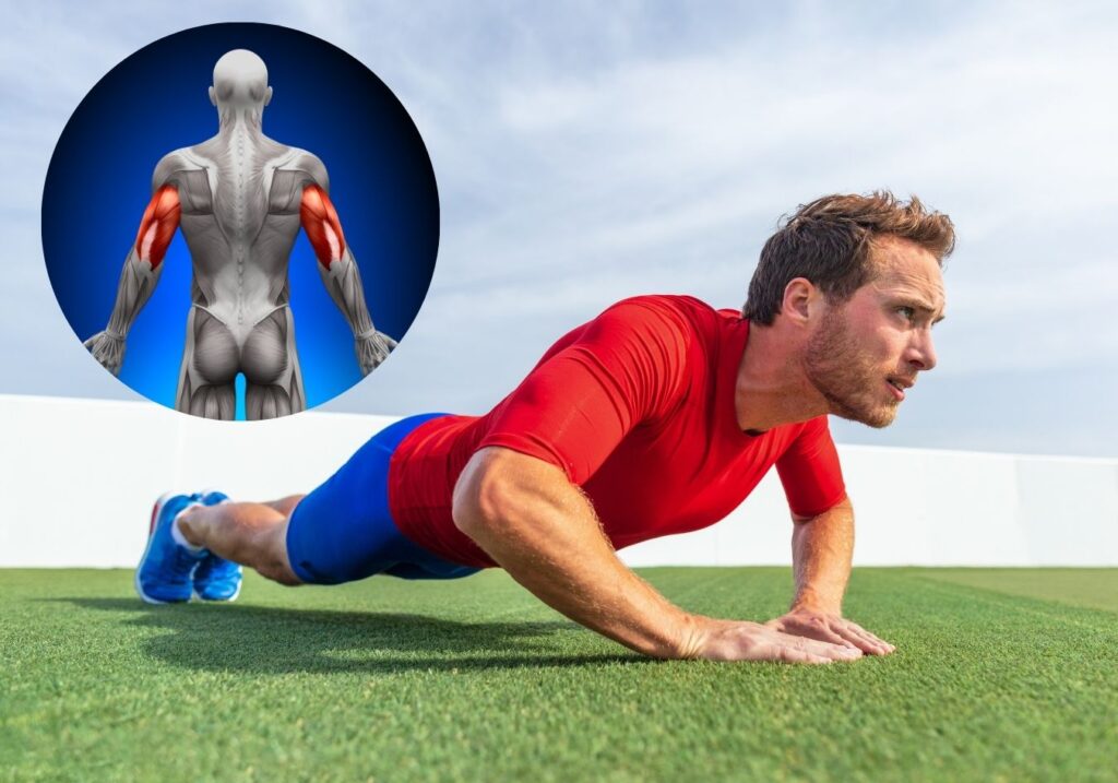 triceps exercises at home